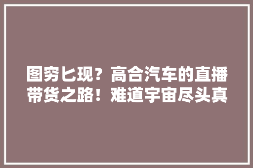图穷匕现？高合汽车的直播带货之路！难道宇宙尽头真是带货？ 图穷匕现？高合汽车的直播带货之路！难道宇宙尽头真是带货？ 智能家居