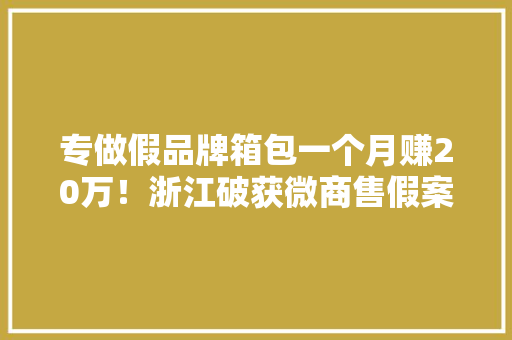 专做假品牌箱包一个月赚20万！浙江破获微商售假案