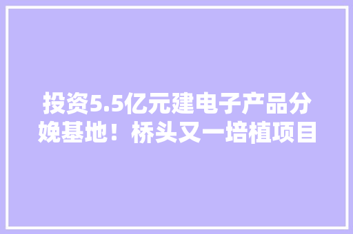 投资5.5亿元建电子产品分娩基地！桥头又一培植项目奠基 投资5.5亿元建电子产品分娩基地！桥头又一培植项目奠基 智能科技