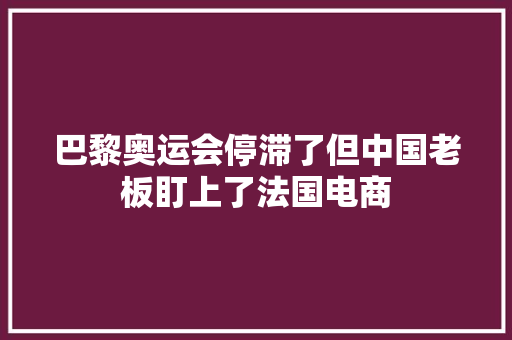巴黎奥运会停滞了但中国老板盯上了法国电商 巴黎奥运会停滞了但中国老板盯上了法国电商 智能科技
