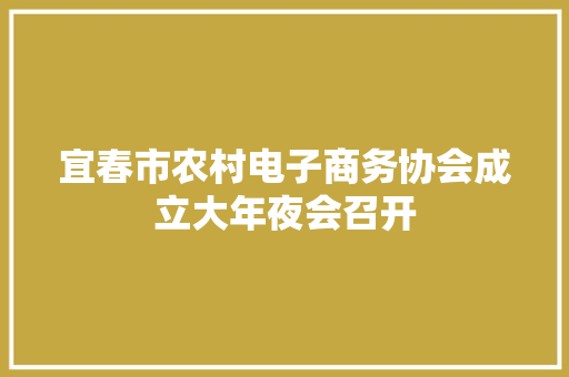 宜春市农村电子商务协会成立大年夜会召开