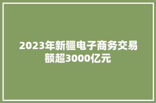 2023年新疆电子商务交易额超3000亿元