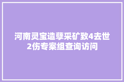 河南灵宝造孽采矿致4去世2伤专案组查询访问 河南灵宝造孽采矿致4去世2伤专案组查询访问 人工智能