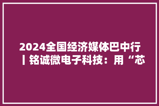 2024全国经济媒体巴中行丨铭诚微电子科技：用“芯”制造 小零件推动企业大年夜成长 2024全国经济媒体巴中行丨铭诚微电子科技：用“芯”制造 小零件推动企业大年夜成长 智能家居