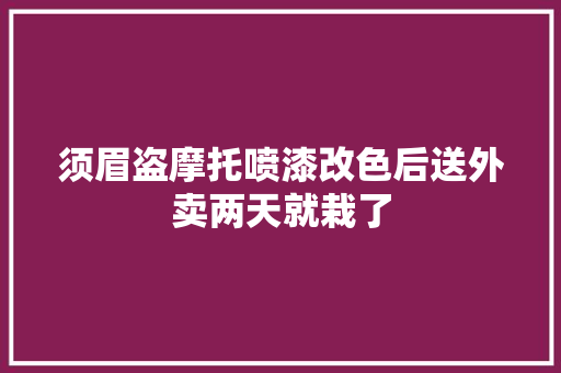 须眉盗摩托喷漆改色后送外卖两天就栽了 须眉盗摩托喷漆改色后送外卖两天就栽了 互联通信