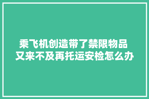 乘飞机创造带了禁限物品 又来不及再托运安检怎么办 河汉机场电子暂存让乘客更便捷 乘飞机创造带了禁限物品 又来不及再托运安检怎么办 河汉机场电子暂存让乘客更便捷 智能家居