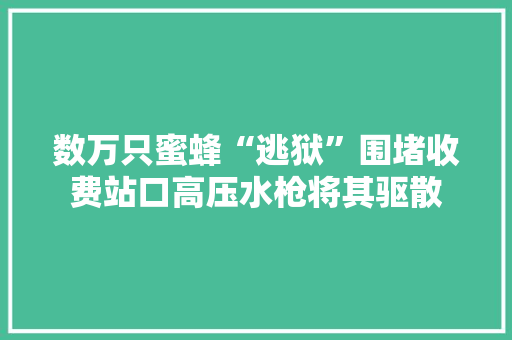 数万只蜜蜂“逃狱”围堵收费站口高压水枪将其驱散