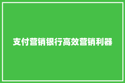 支付营销银行高效营销利器