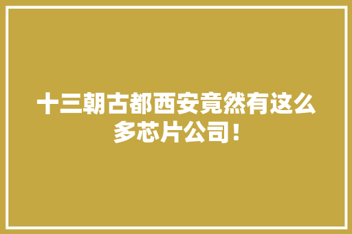 十三朝古都西安竟然有这么多芯片公司！