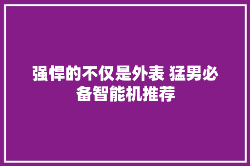 强悍的不仅是外表 猛男必备智能机推荐