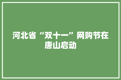 河北省“双十一”网购节在唐山启动