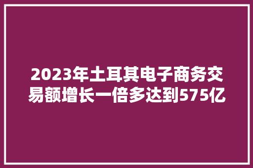2023年土耳其电子商务交易额增长一倍多达到575亿美元