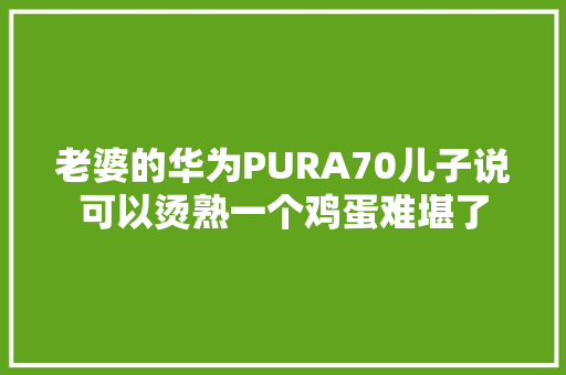 老婆的华为PURA70儿子说可以烫熟一个鸡蛋难堪了