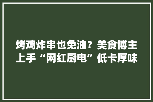 烤鸡炸串也免油？美食博主上手“网红厨电”低卡厚味一键get 烤鸡炸串也免油？美食博主上手“网红厨电”低卡厚味一键get 智能家居