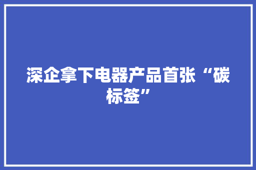 深企拿下电器产品首张“碳标签” 深企拿下电器产品首张“碳标签” 人工智能
