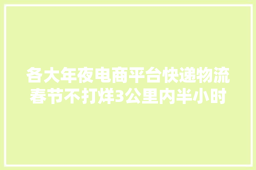 各大年夜电商平台快递物流春节不打烊3公里内半小时可送达