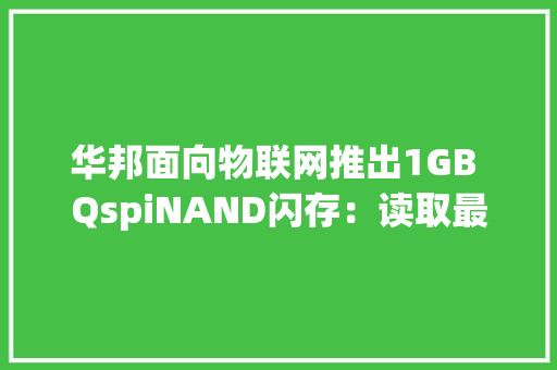 华邦面向物联网推出1GB QspiNAND闪存：读取最高52 MB/s