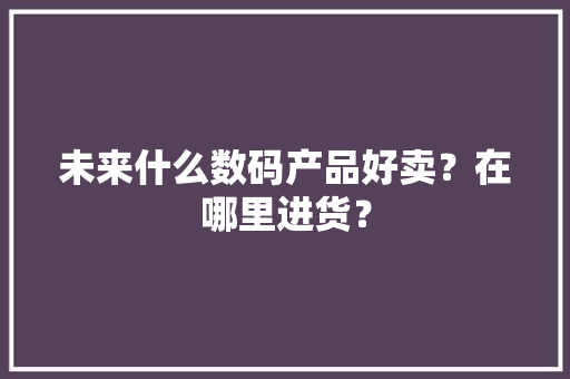 未来什么数码产品好卖？在哪里进货？