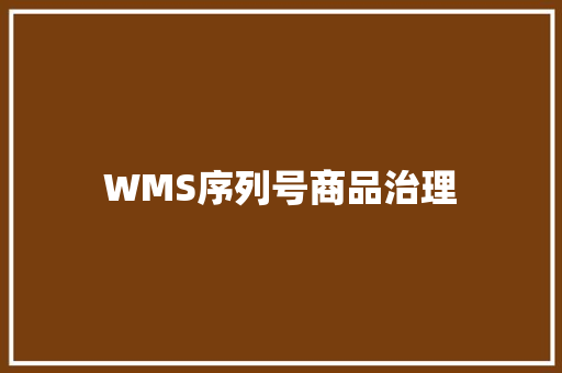 WMS序列号商品治理