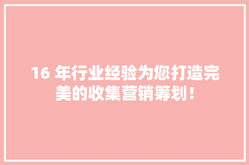 16 年行业经验为您打造完美的收集营销筹划！