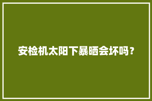 安检机太阳下暴晒会坏吗？ 安检机太阳下暴晒会坏吗？ 智能家居