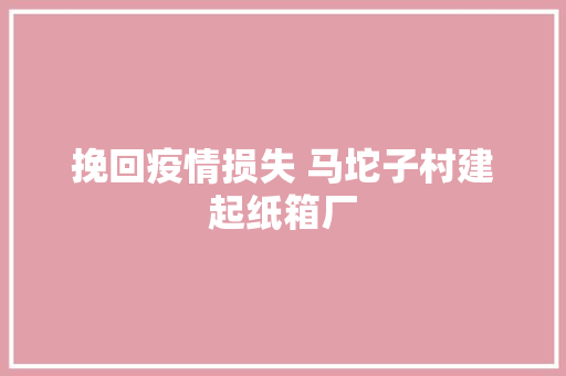 挽回疫情损失 马坨子村建起纸箱厂 挽回疫情损失 马坨子村建起纸箱厂 人工智能