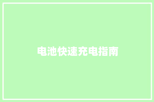 电池快速充电指南 电池快速充电指南 互联通信