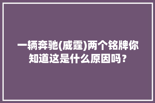 一辆奔驰(威霆)两个铭牌你知道这是什么原因吗？ 一辆奔驰(威霆)两个铭牌你知道这是什么原因吗？ 智能家居