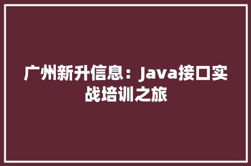 广州新升信息：Java接口实战培训之旅