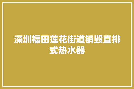 深圳福田莲花街道销毁直排式热水器 深圳福田莲花街道销毁直排式热水器 人工智能