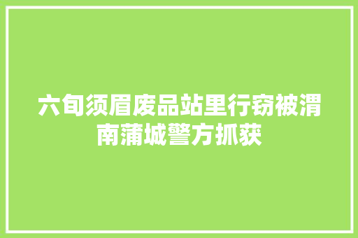 六旬须眉废品站里行窃被渭南蒲城警方抓获