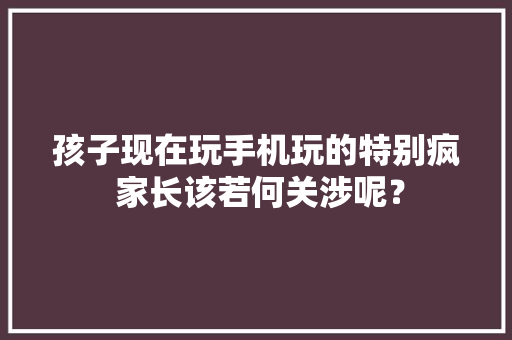 孩子现在玩手机玩的特别疯 家长该若何关涉呢？