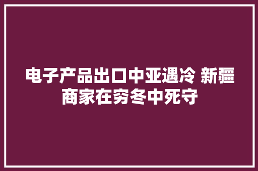 电子产品出口中亚遇冷 新疆商家在穷冬中死守 电子产品出口中亚遇冷 新疆商家在穷冬中死守 人工智能