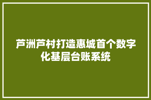 芦洲芦村打造惠城首个数字化基层台账系统