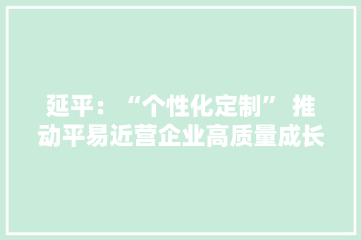 延平：“个性化定制” 推动平易近营企业高质量成长 延平：“个性化定制” 推动平易近营企业高质量成长 互联通信