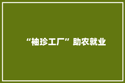 “袖珍工厂”助农就业 “袖珍工厂”助农就业 智能科技