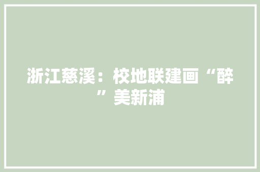 浙江慈溪：校地联建画“醉”美新浦 浙江慈溪：校地联建画“醉”美新浦 人工智能