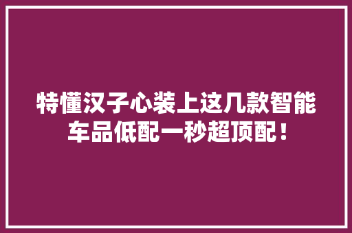 特懂汉子心装上这几款智能车品低配一秒超顶配！ 特懂汉子心装上这几款智能车品低配一秒超顶配！ 智能家居