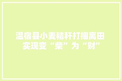 温宿县小麦秸秆打捆离田 实现变“柴”为“财” 温宿县小麦秸秆打捆离田 实现变“柴”为“财” 人工智能