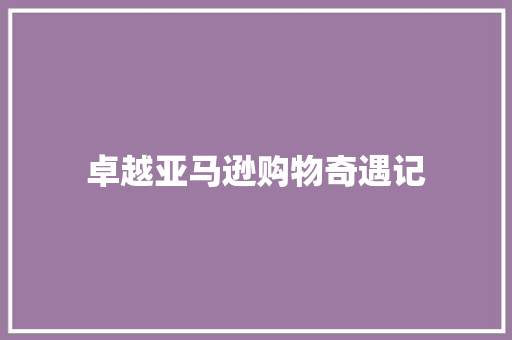 卓越亚马逊购物奇遇记