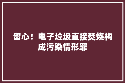 留心！电子垃圾直接焚烧构成污染情形罪 留心！电子垃圾直接焚烧构成污染情形罪 智能科技