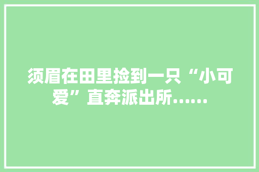 须眉在田里捡到一只“小可爱”直奔派出所……