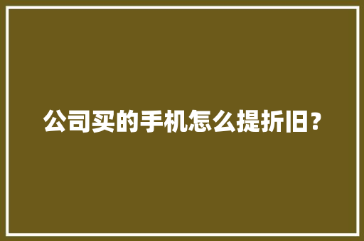 公司买的手机怎么提折旧？