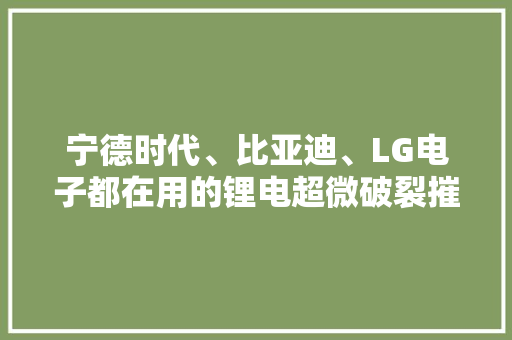 宁德时代、比亚迪、LG电子都在用的锂电超微破裂摧毁技能是什么？ 宁德时代、比亚迪、LG电子都在用的锂电超微破裂摧毁技能是什么？ 人工智能