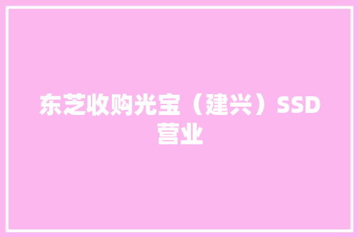 东芝收购光宝（建兴）SSD营业 东芝收购光宝（建兴）SSD营业 互联通信