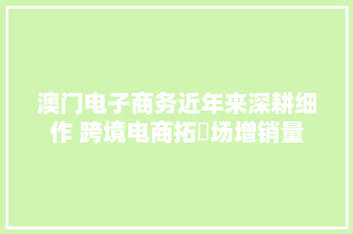 澳门电子商务近年来深耕细作 跨境电商拓巿场增销量