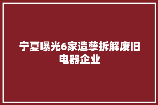 宁夏曝光6家造孽拆解废旧电器企业