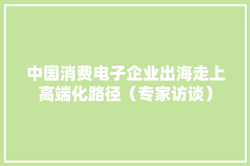 中国消费电子企业出海走上高端化路径（专家访谈） 中国消费电子企业出海走上高端化路径（专家访谈） 智能家居
