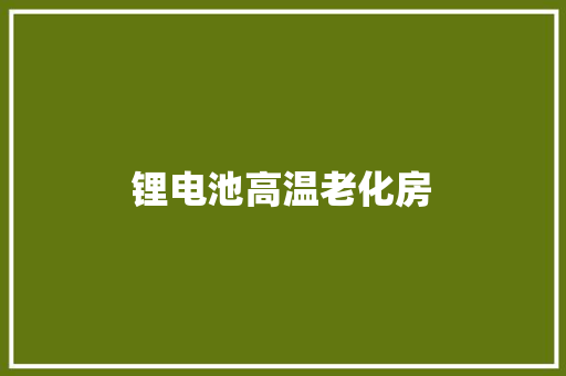 锂电池高温老化房 锂电池高温老化房 人工智能
