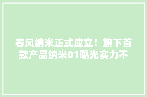 春风纳米正式成立！旗下首款产品纳米01曝光实力不俗 春风纳米正式成立！旗下首款产品纳米01曝光实力不俗 智能家居